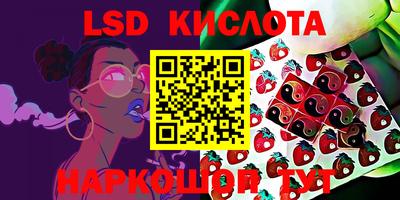 мдпв Славгород