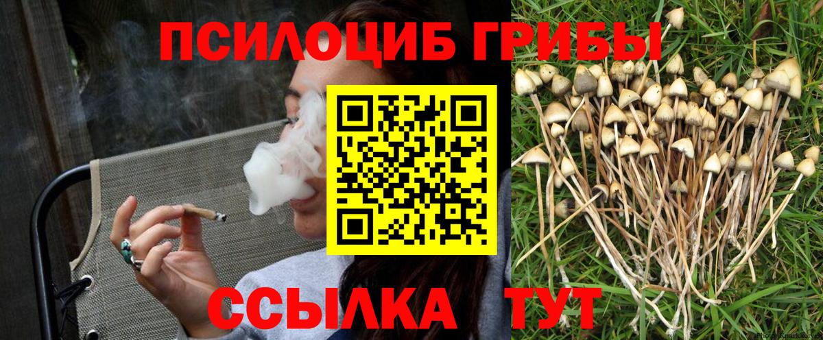 Псилоцибиновые грибы Cubensis Новодвинск