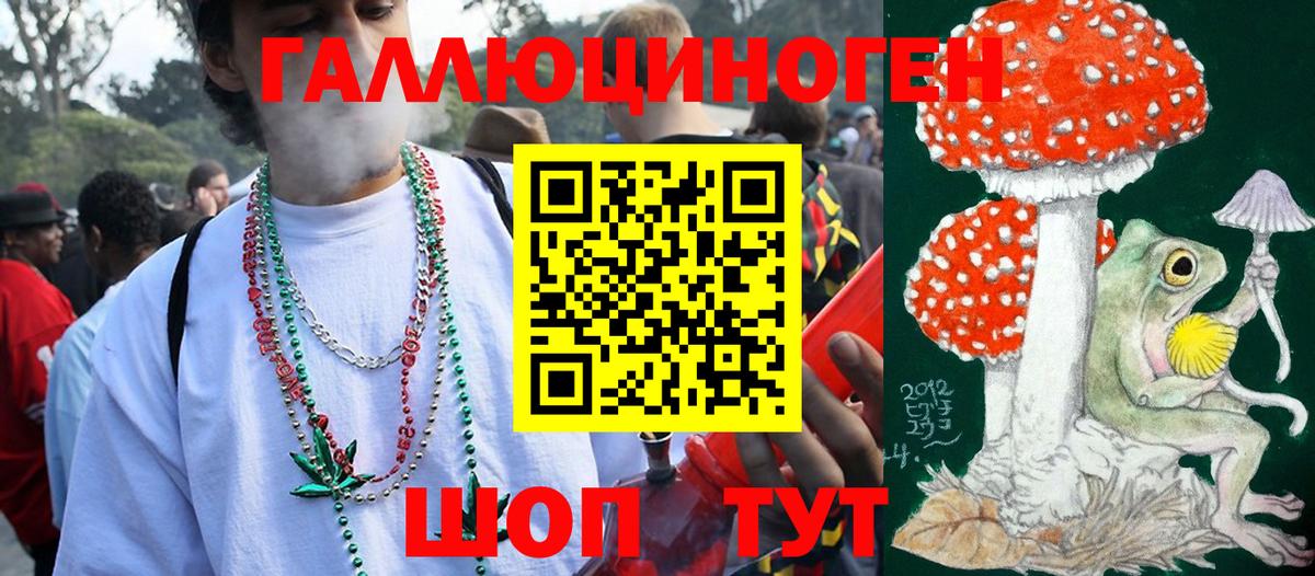 Новодвинск  Псилоцибиновые грибы MAGIC MUSHROOMS  Вход с VPN 