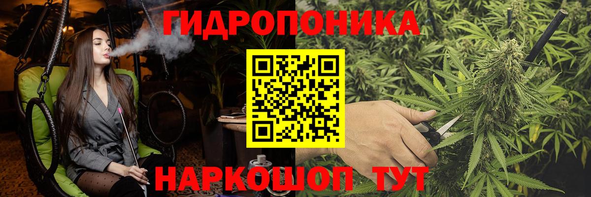 Бошки марихуана конопля  Канабис индика  Вход с VPN  Новодвинск 